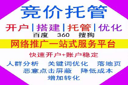 搜索引擎营销（SEM）在电商行业的投放策略案例